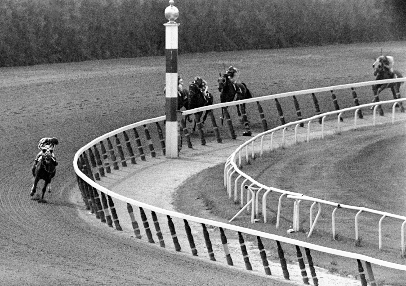 Secretariat, Ron Turcotte (copy)